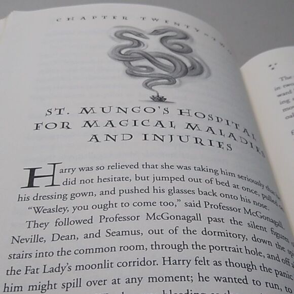 Harry Potter and the Order of the Phoenix Book Year 5 - Picture 3 of 7